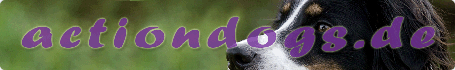 actiondogs